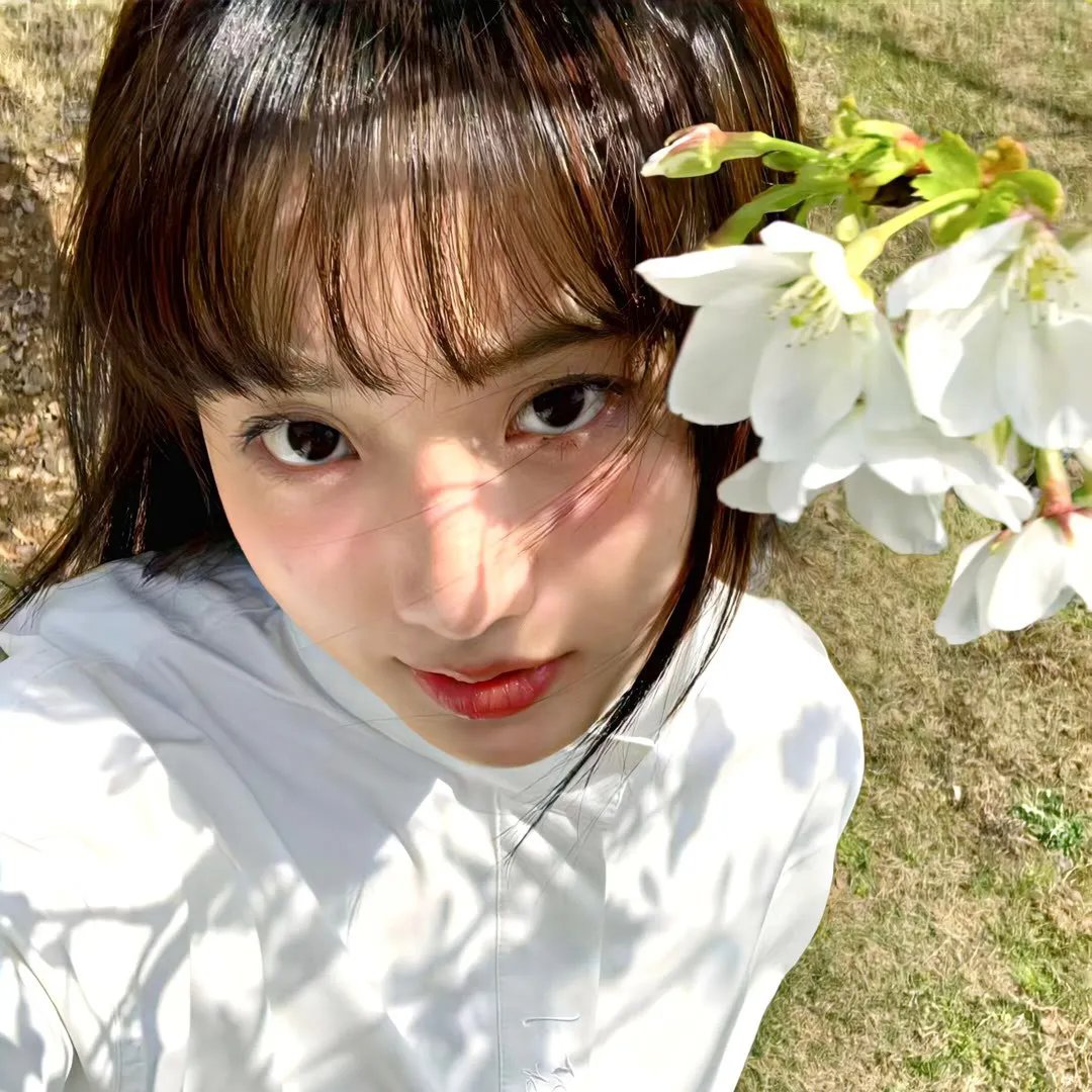百花艳舞 海报